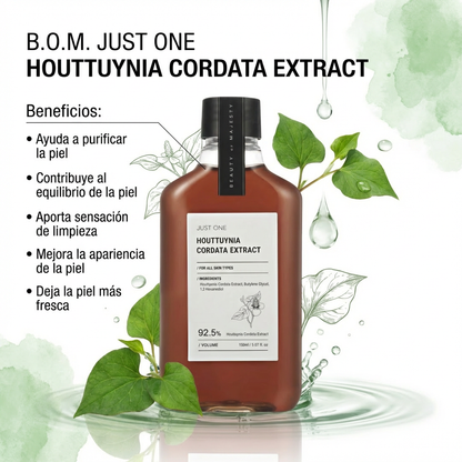 B.O.M. Just One Houttuynia Cordata Extract (Tónico purificante para rostro y cuero cabelludo)