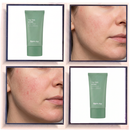 Farmstay Tea Tree Biome Calming Sun Cream